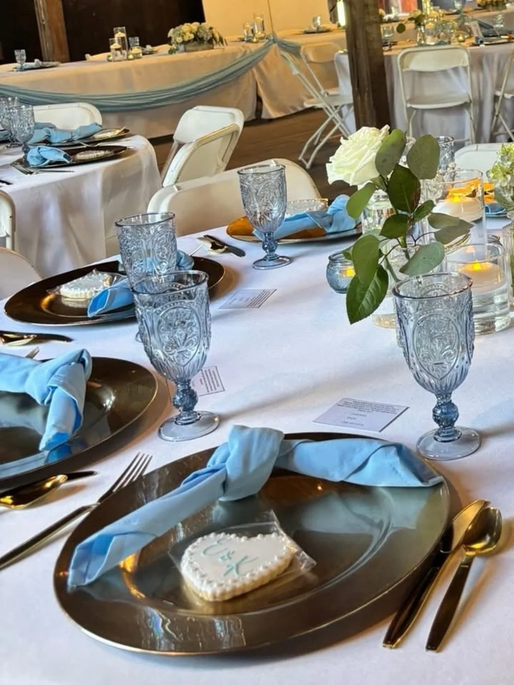 Light Blue Cloth Napkins Bulk (238 Total)